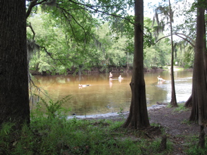 river greeters