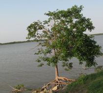 waxahachie creek 1